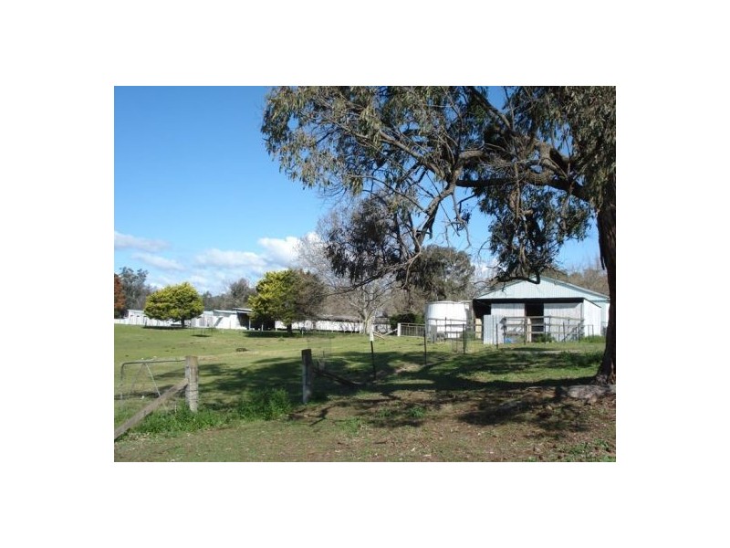 190 New England Gully Road, Moonbi NSW 2353