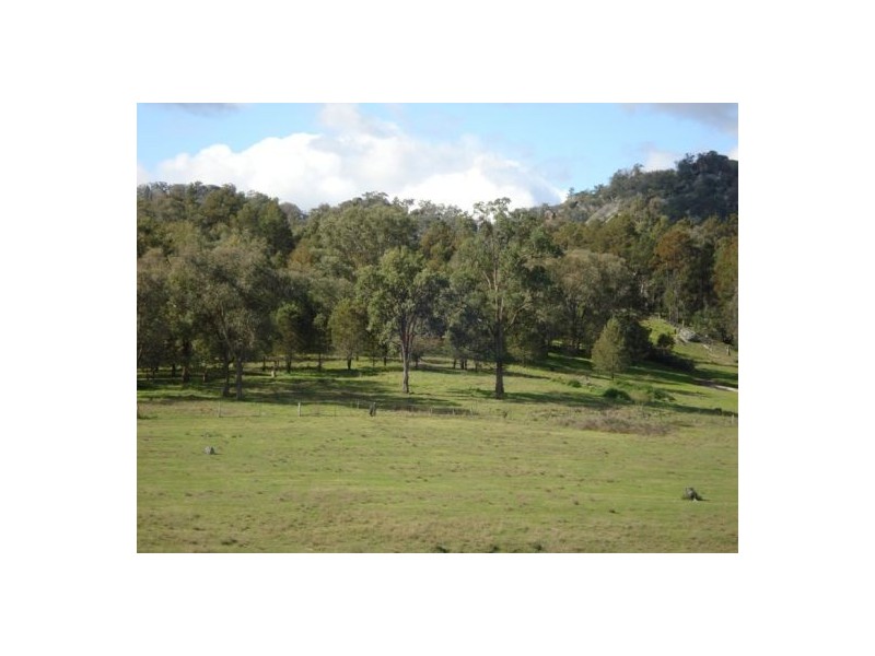 190 New England Gully Road, Moonbi NSW 2353
