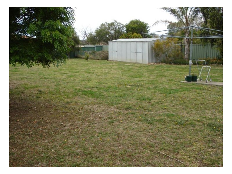 24 Evans Street, Tamworth NSW 2340