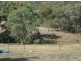 35 Limbri Road, Limbri NSW 2352