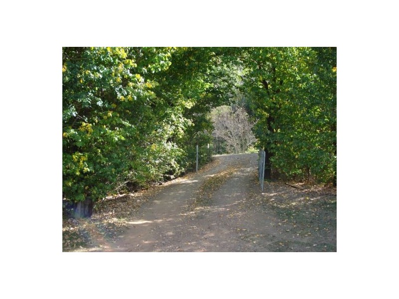35 Limbri Road, Limbri NSW 2352