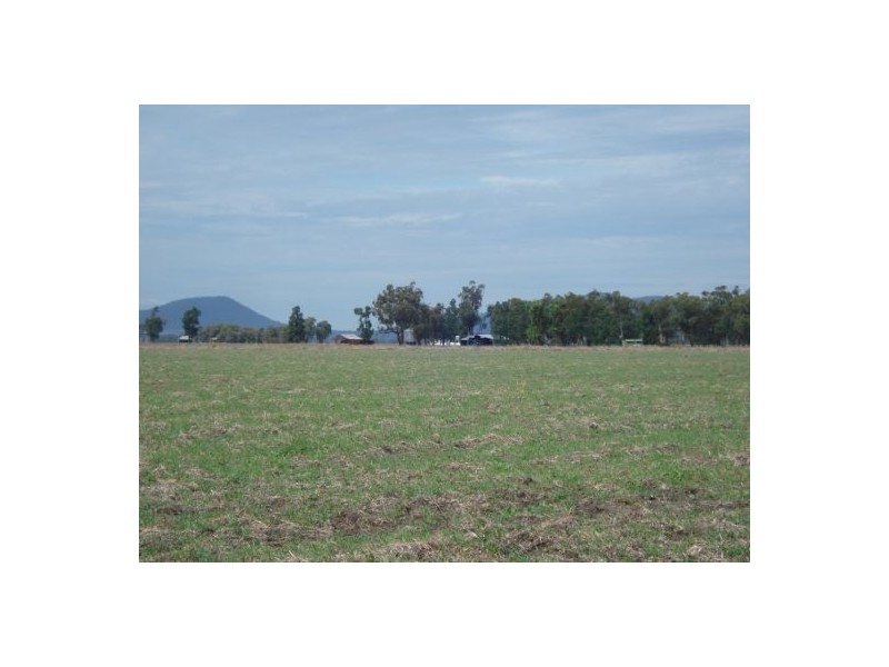 787 Denver Lane, Piallaway NSW 2342