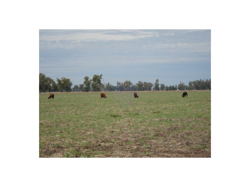 787 Denver Lane, Piallaway NSW 2342