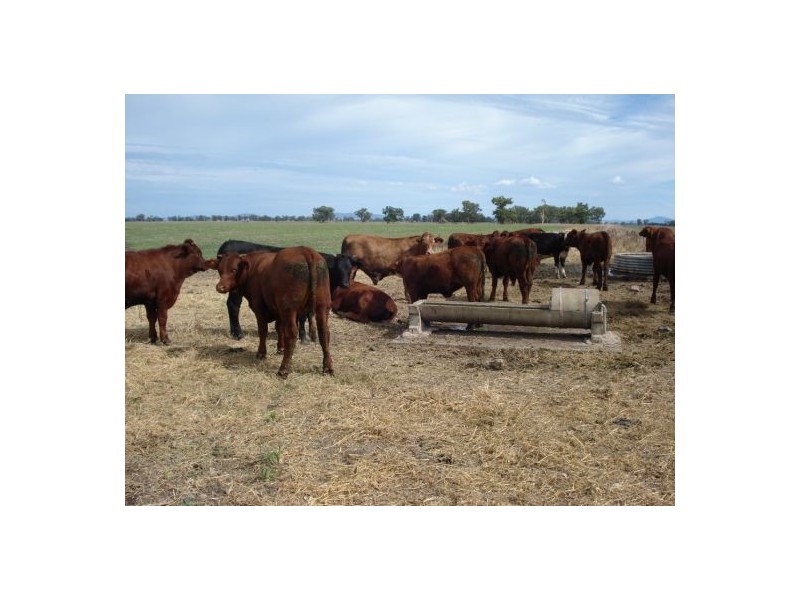 787 Denver Lane, Piallaway NSW 2342