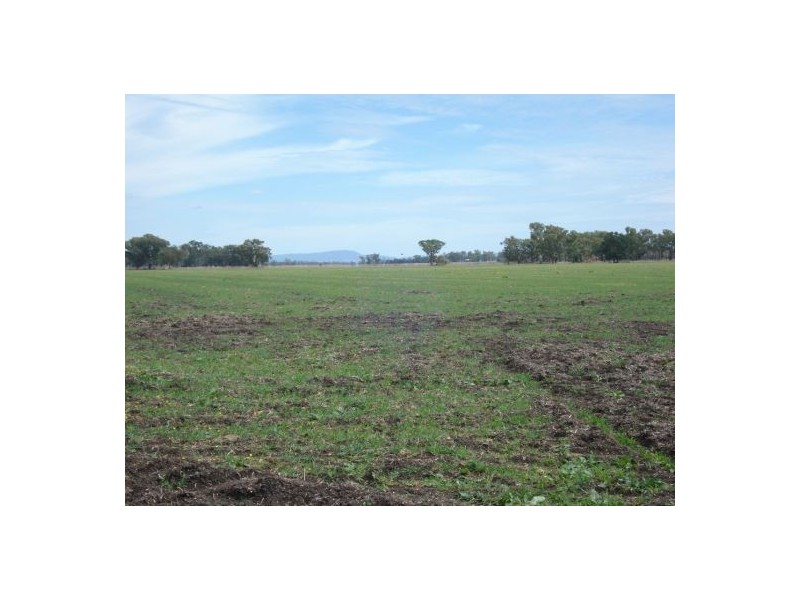 787 Denver Lane, Piallaway NSW 2342