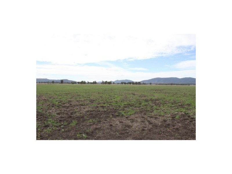 787 Denver Lane, Piallaway NSW 2342