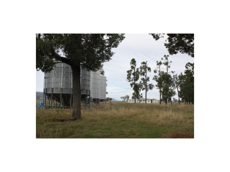 787 Denver Lane, Piallaway NSW 2342