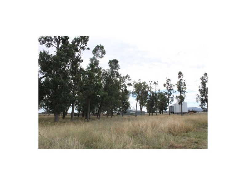 787 Denver Lane, Piallaway NSW 2342