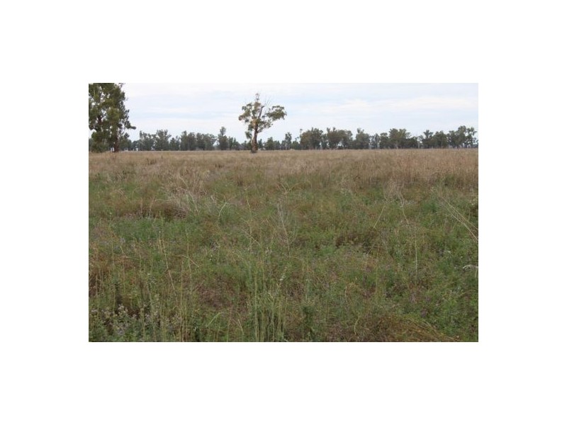 787 Denver Lane, Piallaway NSW 2342