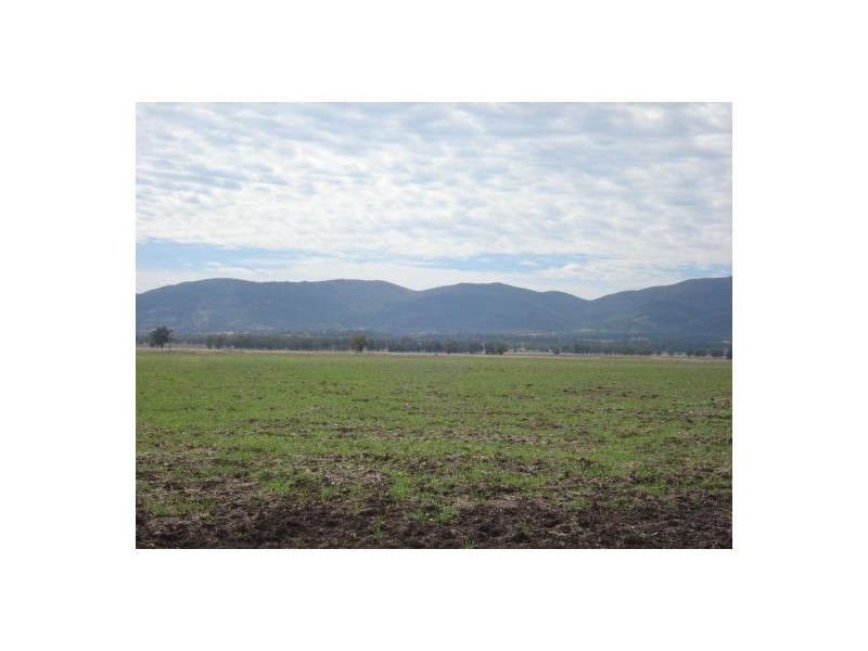 787 Denver Lane, Piallaway NSW 2342