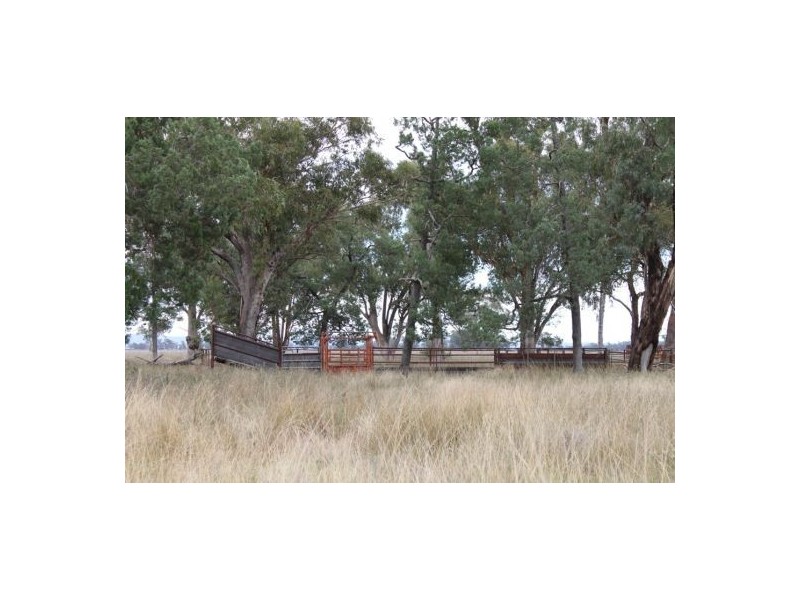 787 Denver Lane, Piallaway NSW 2342