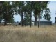 787 Denver Lane, Piallaway NSW 2342