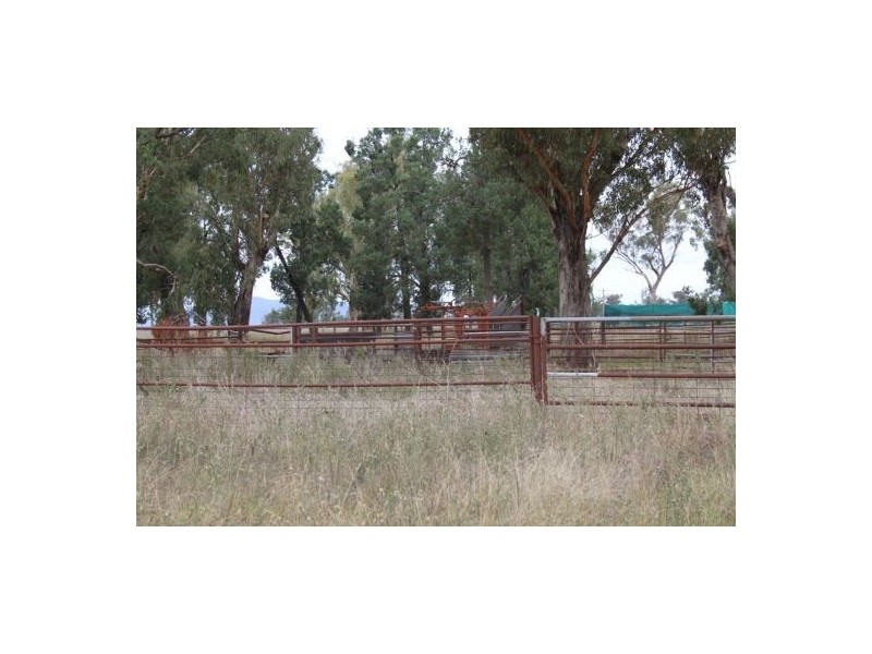 787 Denver Lane, Piallaway NSW 2342