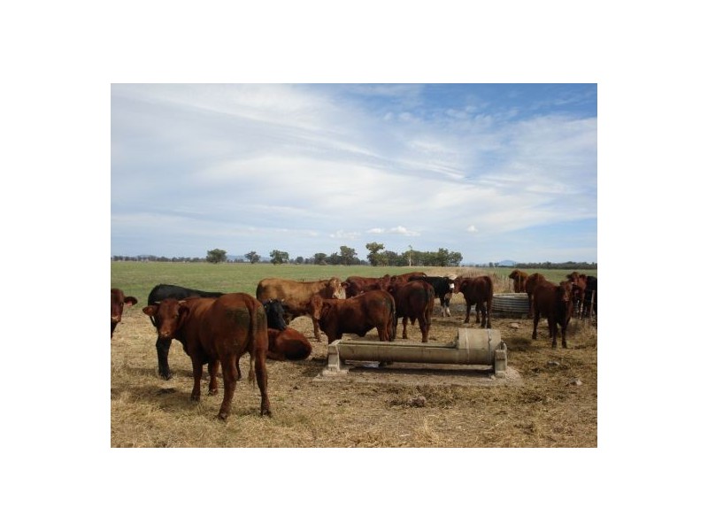 787 Denver Lane, Piallaway NSW 2342