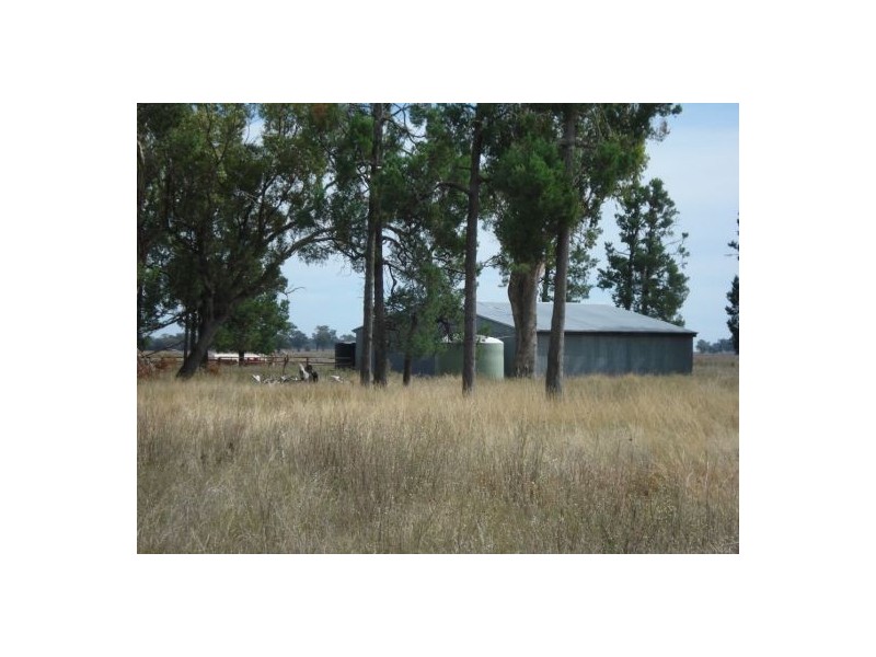 787 Denver Lane, Piallaway NSW 2342