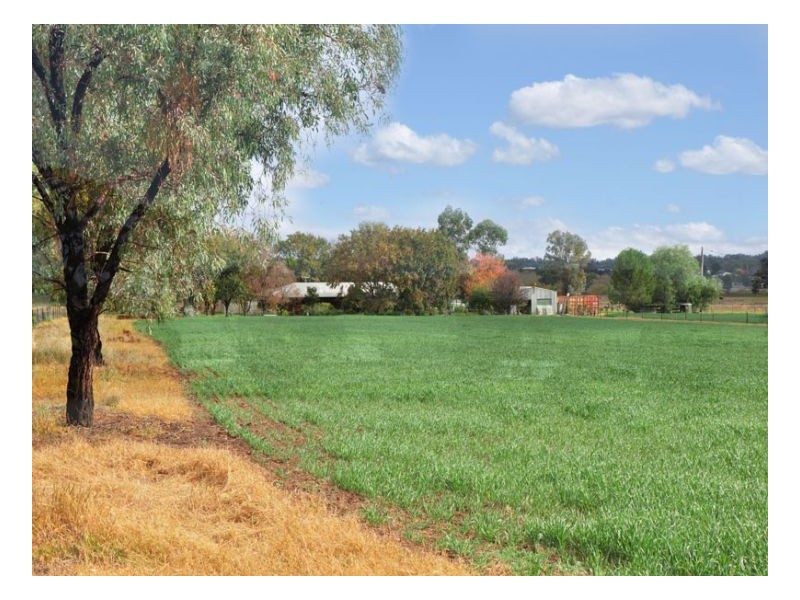 562 Warral Road, Tamworth NSW 2340