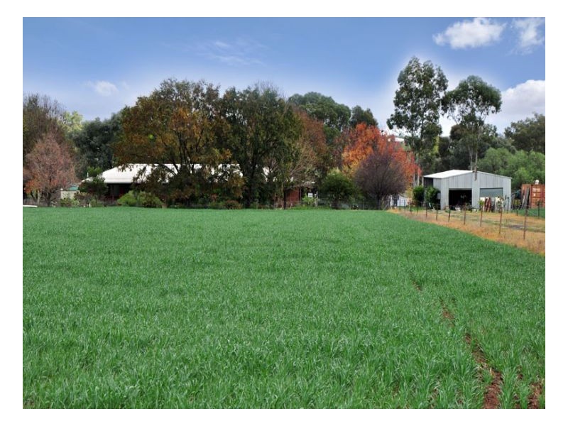 562 Warral Road, Tamworth NSW 2340