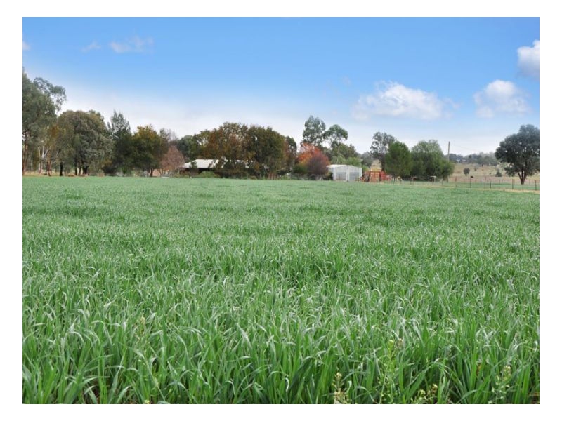 562 Warral Road, Tamworth NSW 2340