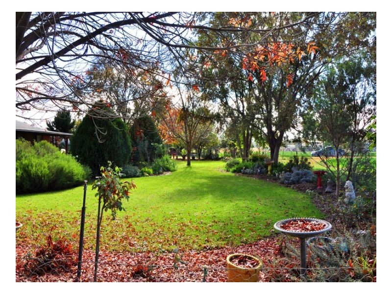 562 Warral Road, Tamworth NSW 2340