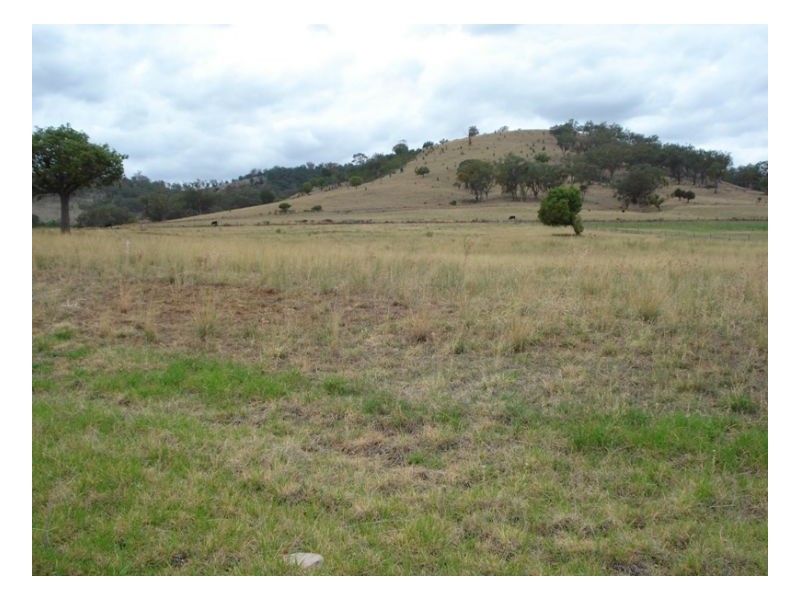 18 Honeyeater place, Moore Creek NSW 2340