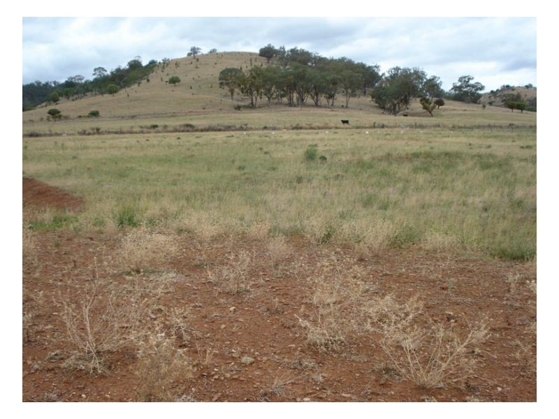 18 Honeyeater place, Moore Creek NSW 2340