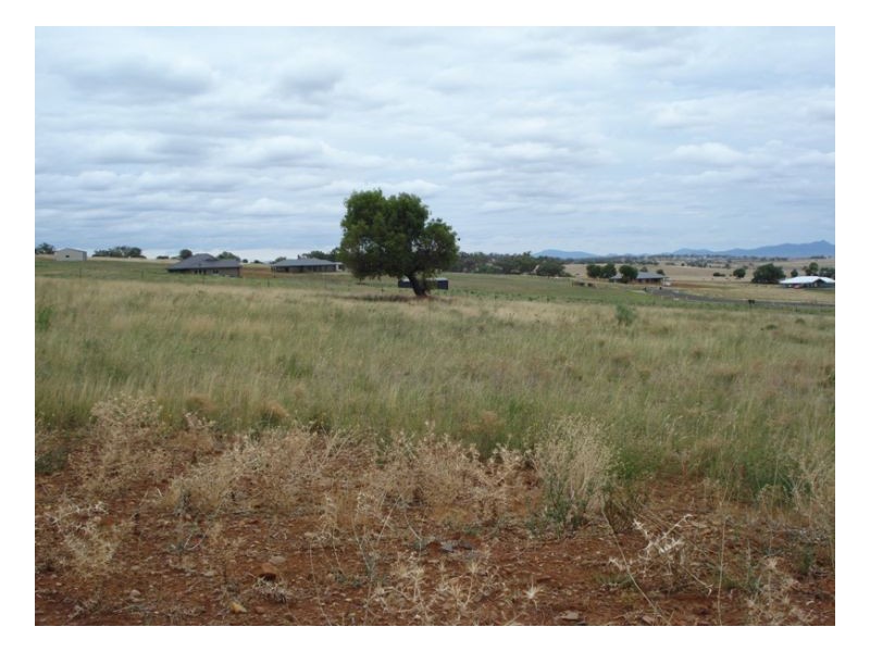 18 Honeyeater place, Moore Creek NSW 2340