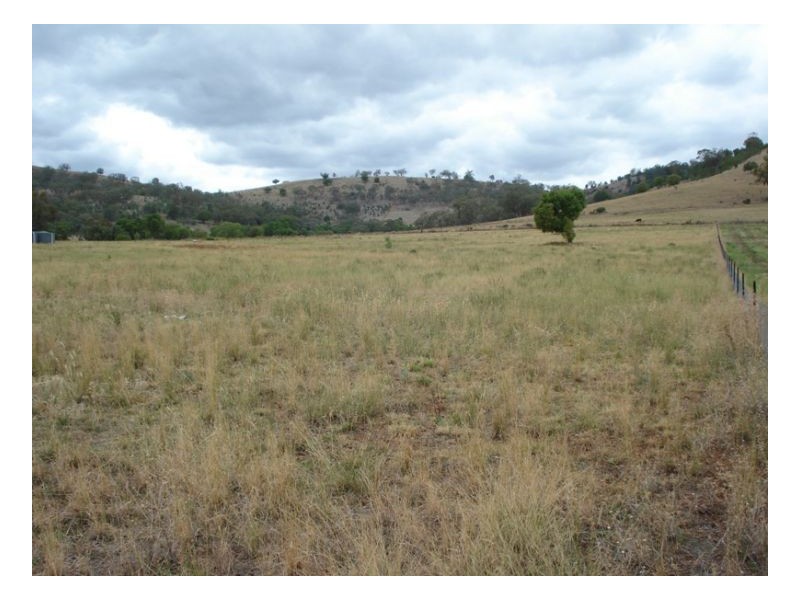 18 Honeyeater place, Moore Creek NSW 2340