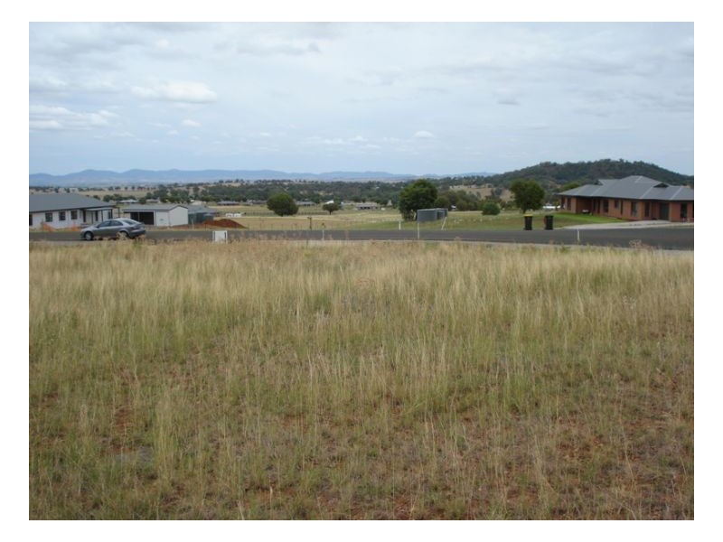 18 Honeyeater place, Moore Creek NSW 2340