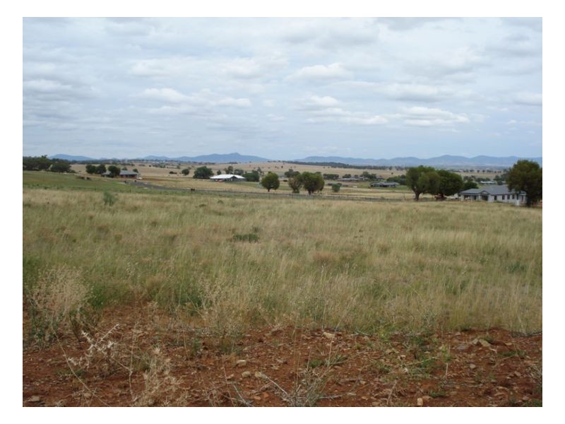 18 Honeyeater place, Moore Creek NSW 2340