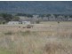 Moore Creek NSW 2340