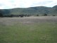 Moore Creek NSW 2340