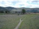 Moore Creek NSW 2340