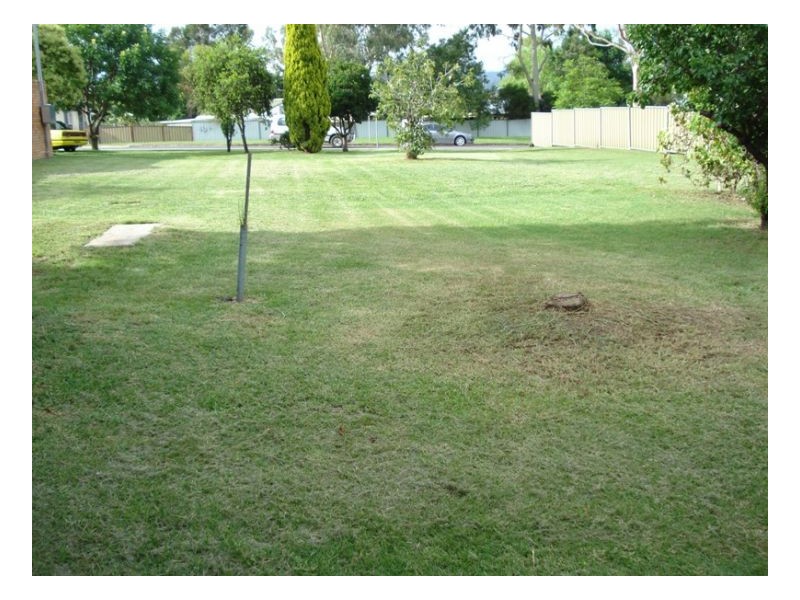 79 Wilburtree Street, Tamworth NSW 2340