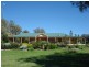 Kootingal NSW 2352