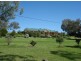 Kootingal NSW 2352