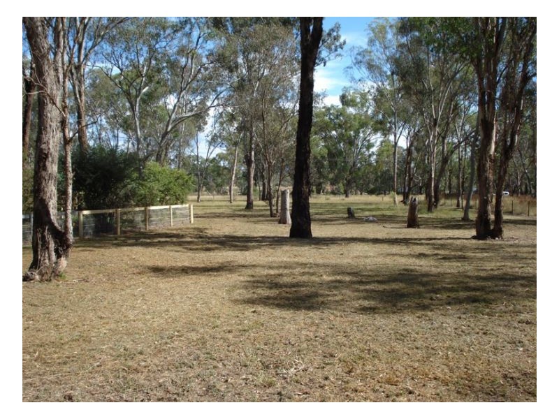 5 Burgmanns Lane, Tamworth NSW 2340