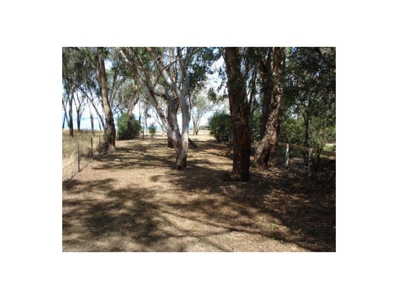 5 Burgmanns Lane, Tamworth NSW 2340