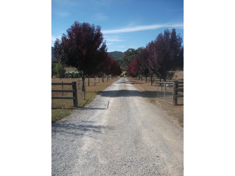 68 Catherine Way, Daruka NSW 2340