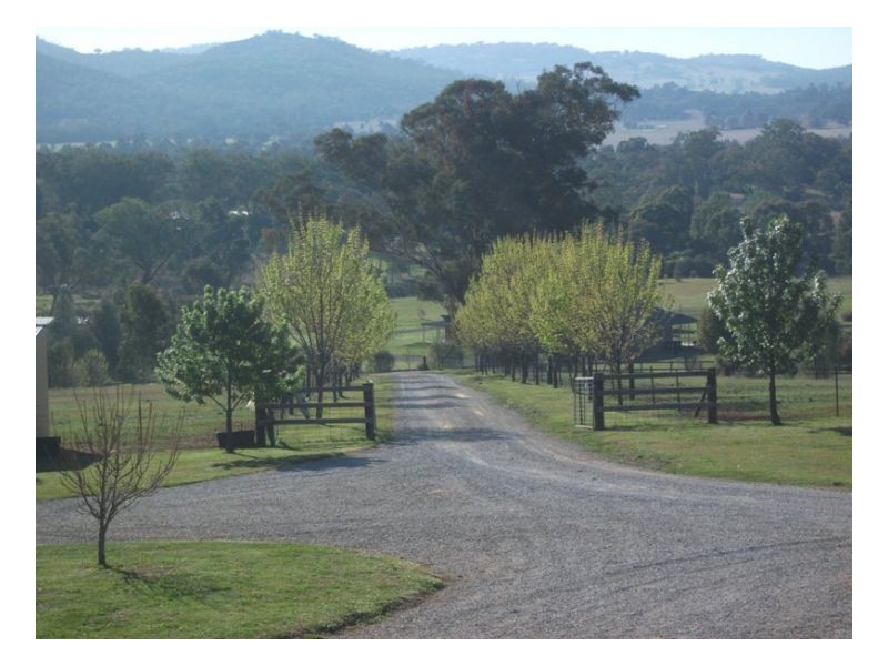 68 Catherine Way, Daruka NSW 2340