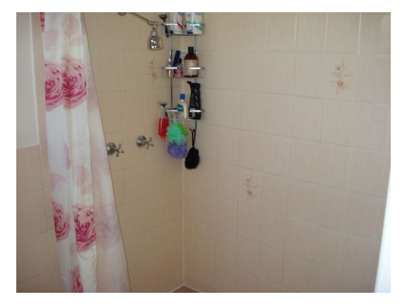 107 Gaol Creek Road, Moonbi NSW 2353