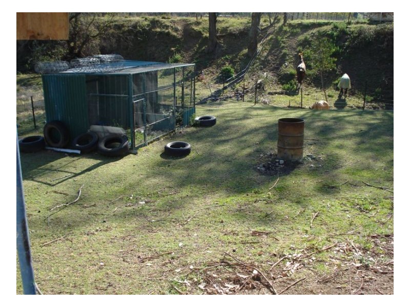 107 Gaol Creek Road, Moonbi NSW 2353