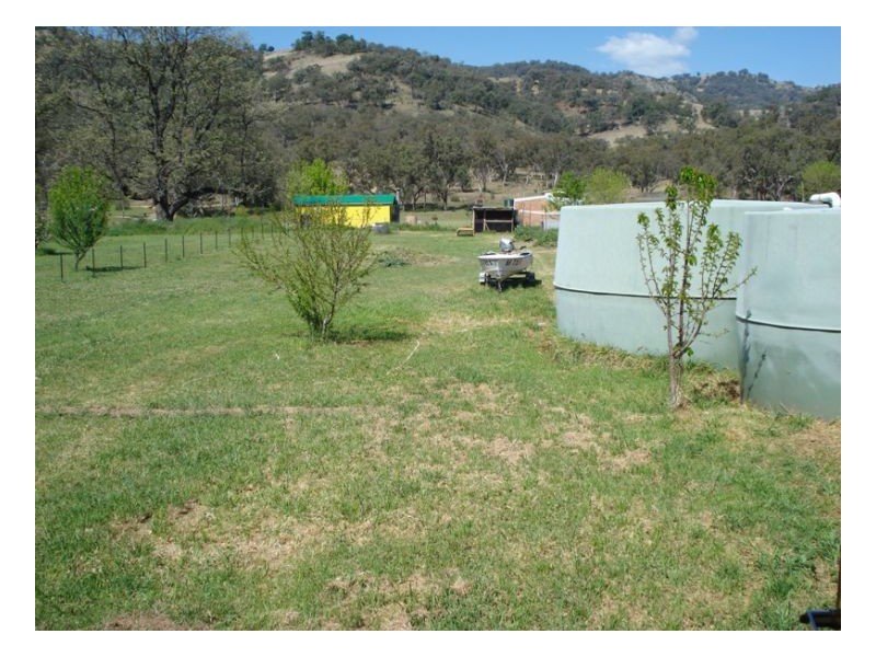 12 Duncan Street, Woolomin NSW 2340