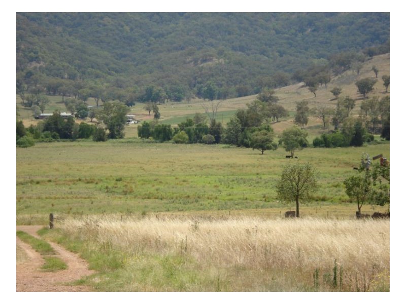 238 Dungowan Creek Road, Dungowan NSW 2340