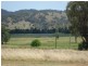 238 Dungowan Creek Road, Dungowan NSW 2340