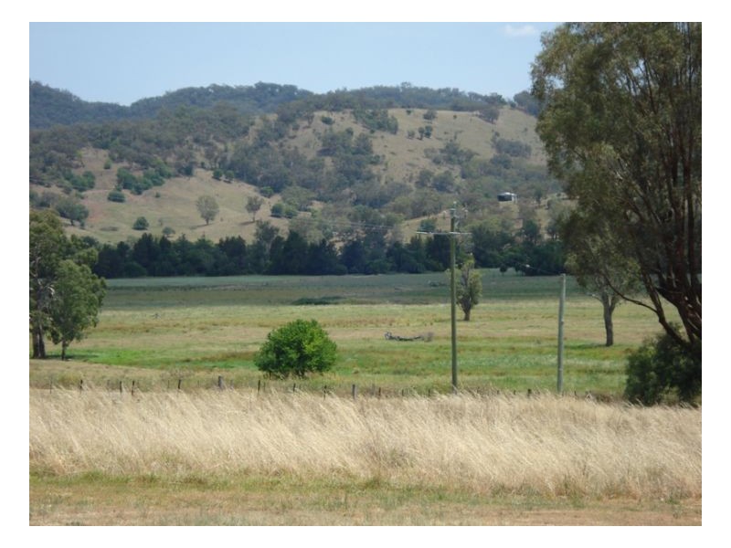 238 Dungowan Creek Road, Dungowan NSW 2340