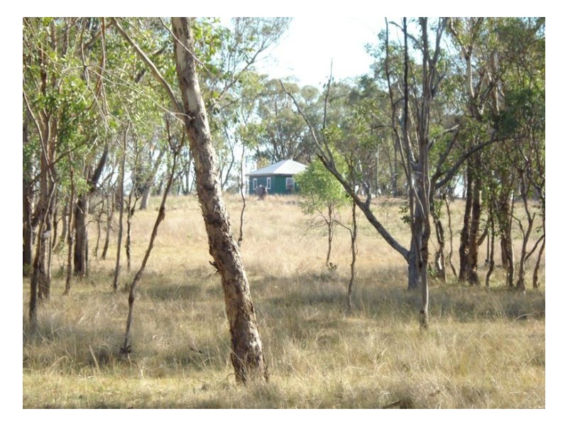 555 Bartons Lane, Duri NSW 2344