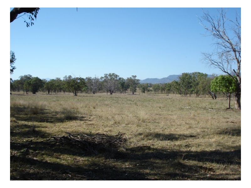 555 Bartons Lane, Duri NSW 2344