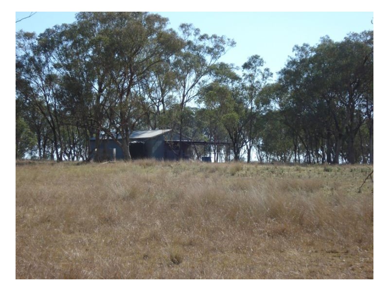 555 Bartons Lane, Duri NSW 2344