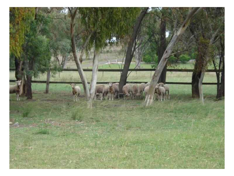 571 Moore Creek Road, Tamworth NSW 2340