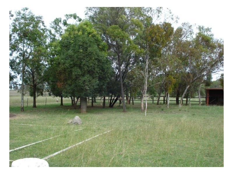 571 Moore Creek Road, Tamworth NSW 2340